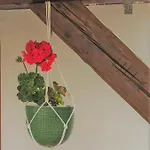 Tatil Evi Borbely Vendeghaz Kanije