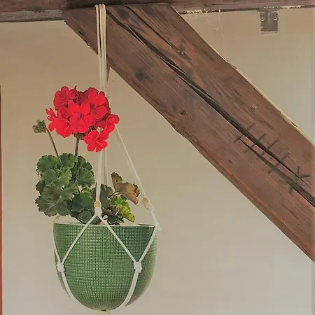 Tatil Evi Borbely Vendeghaz Kanije