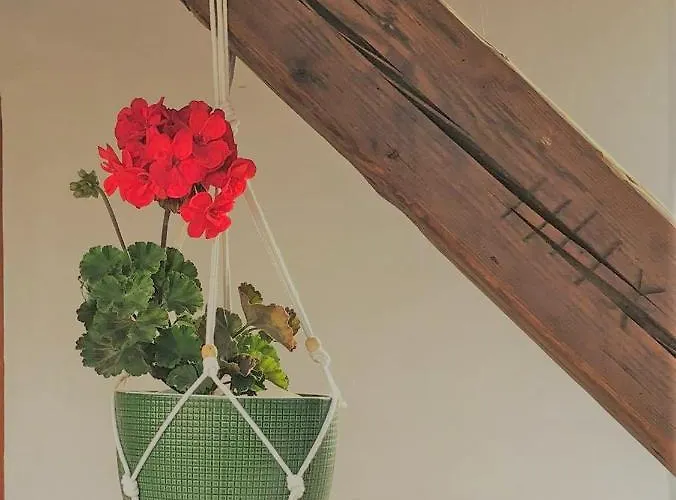 Holiday home Borbely Vendeghaz Nagykanizsa