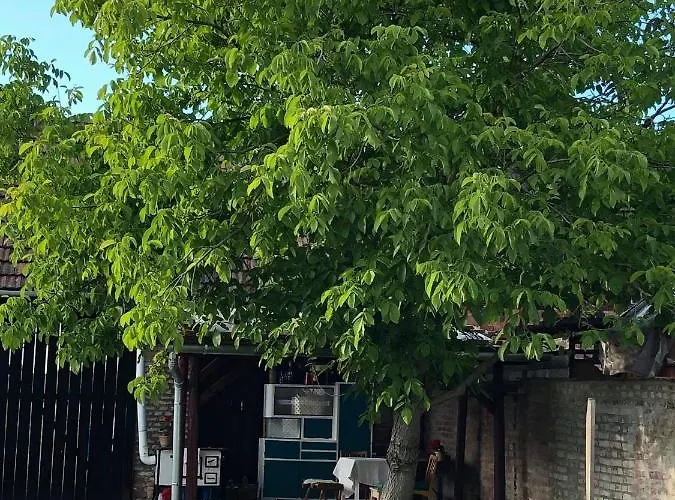 Ferienhaus Borbely Vendeghaz